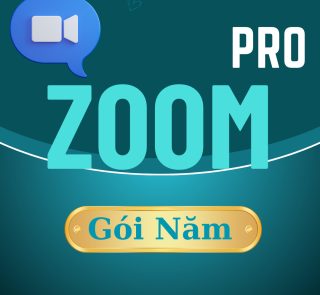 mua zoom pro