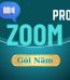 mua zoom pro
